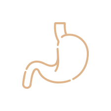 ícone gastroenterologia elo clinic
